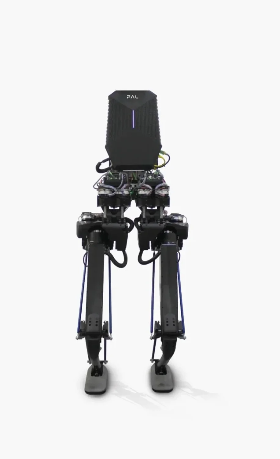 Kangaroo - PAL Robotics robot model