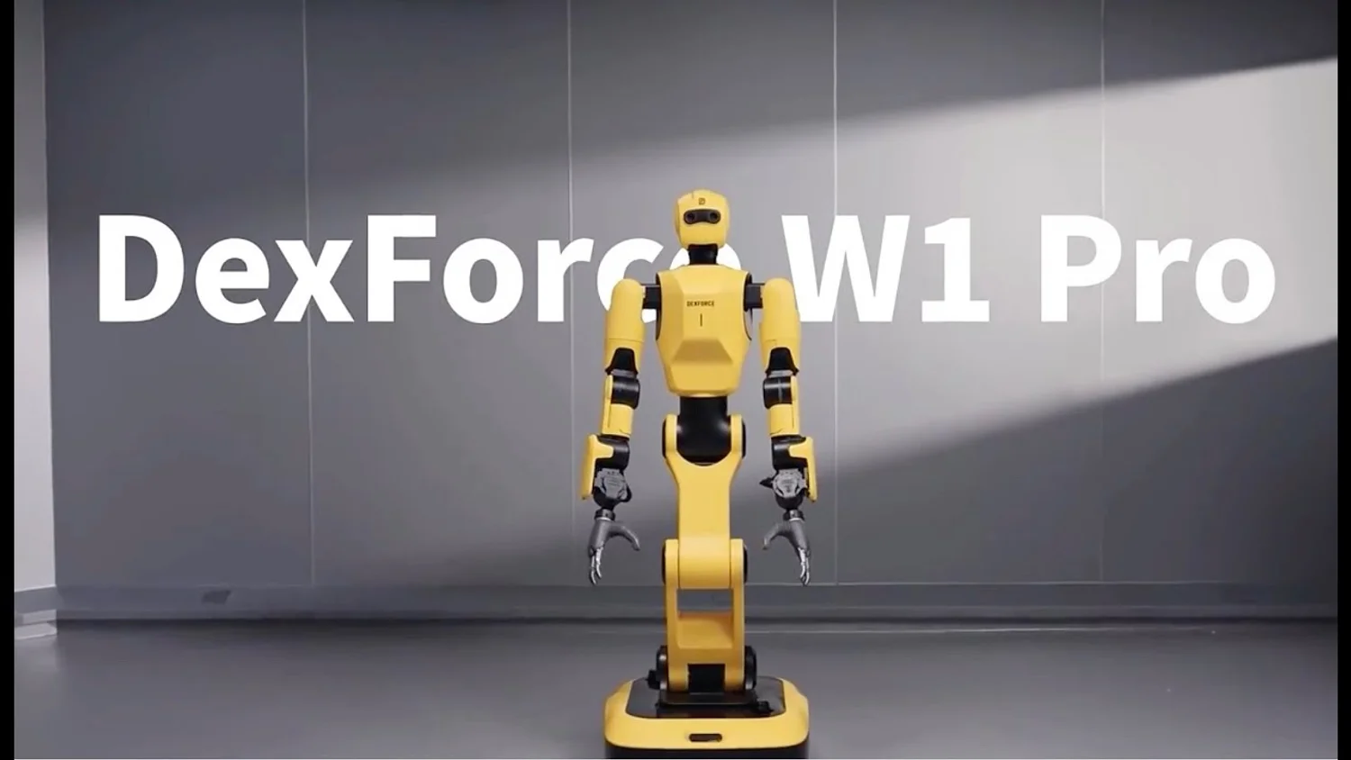 W1 Pro