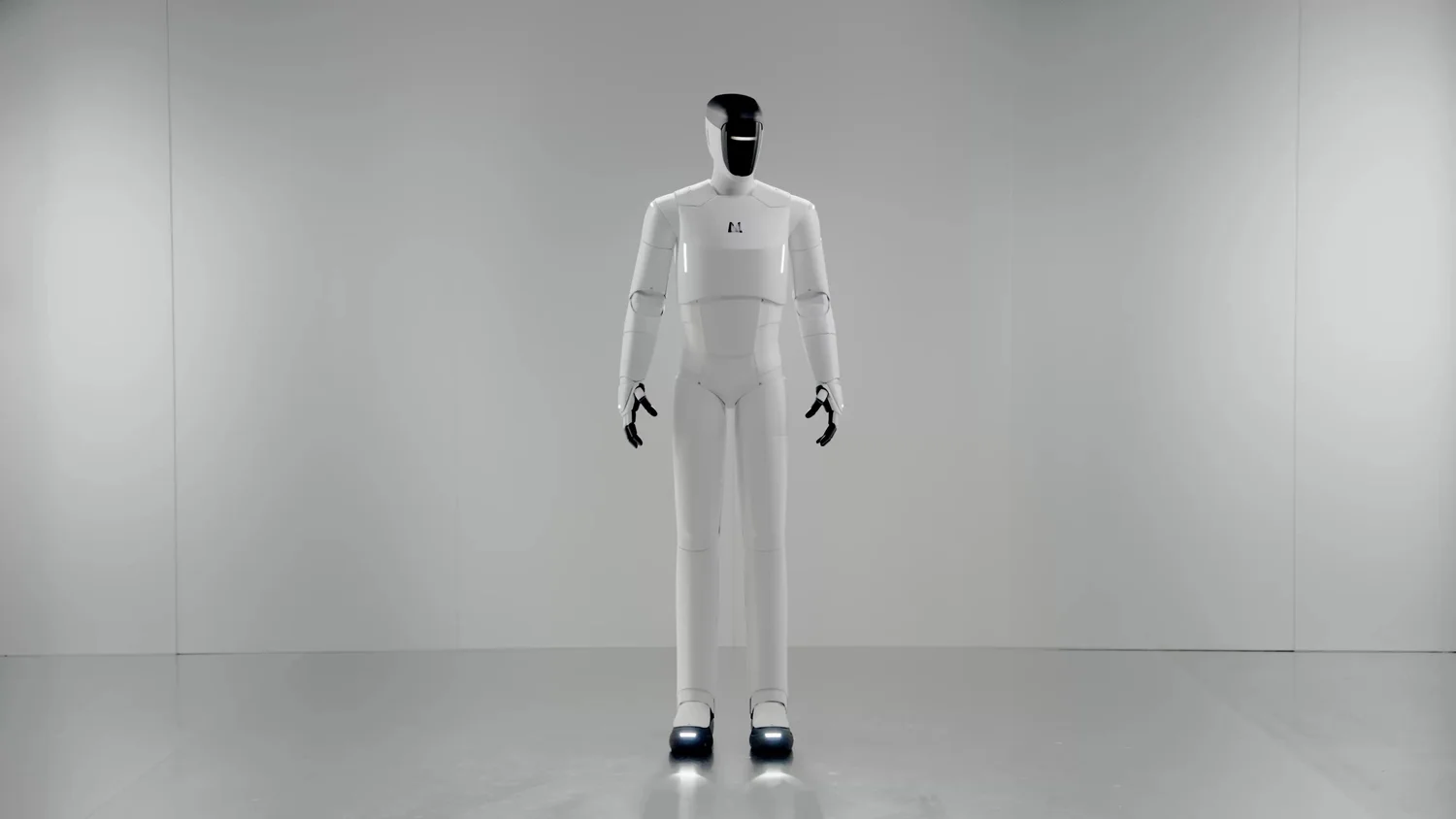 Matrix 1