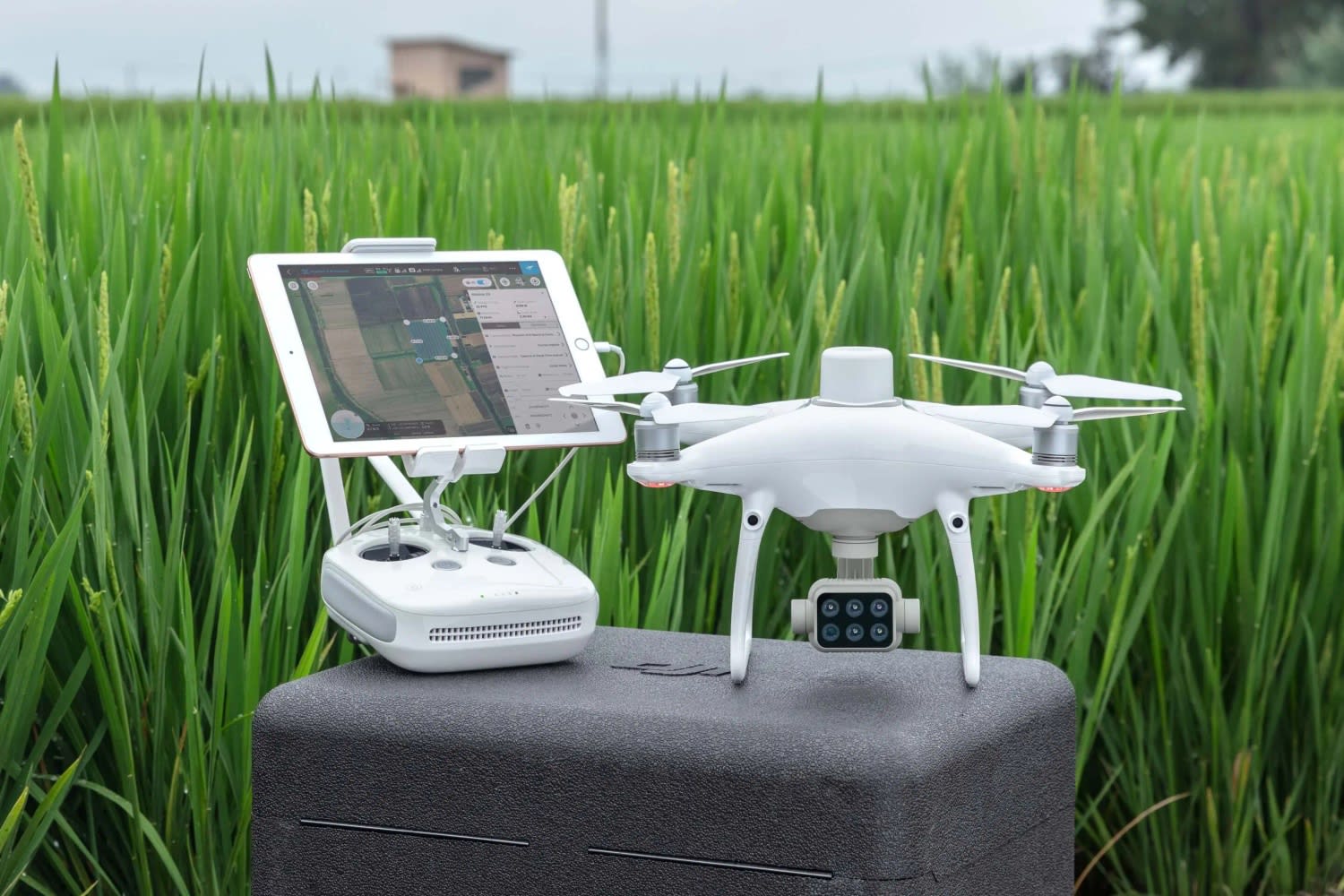 DJI P4 Multispectral - Image 1
