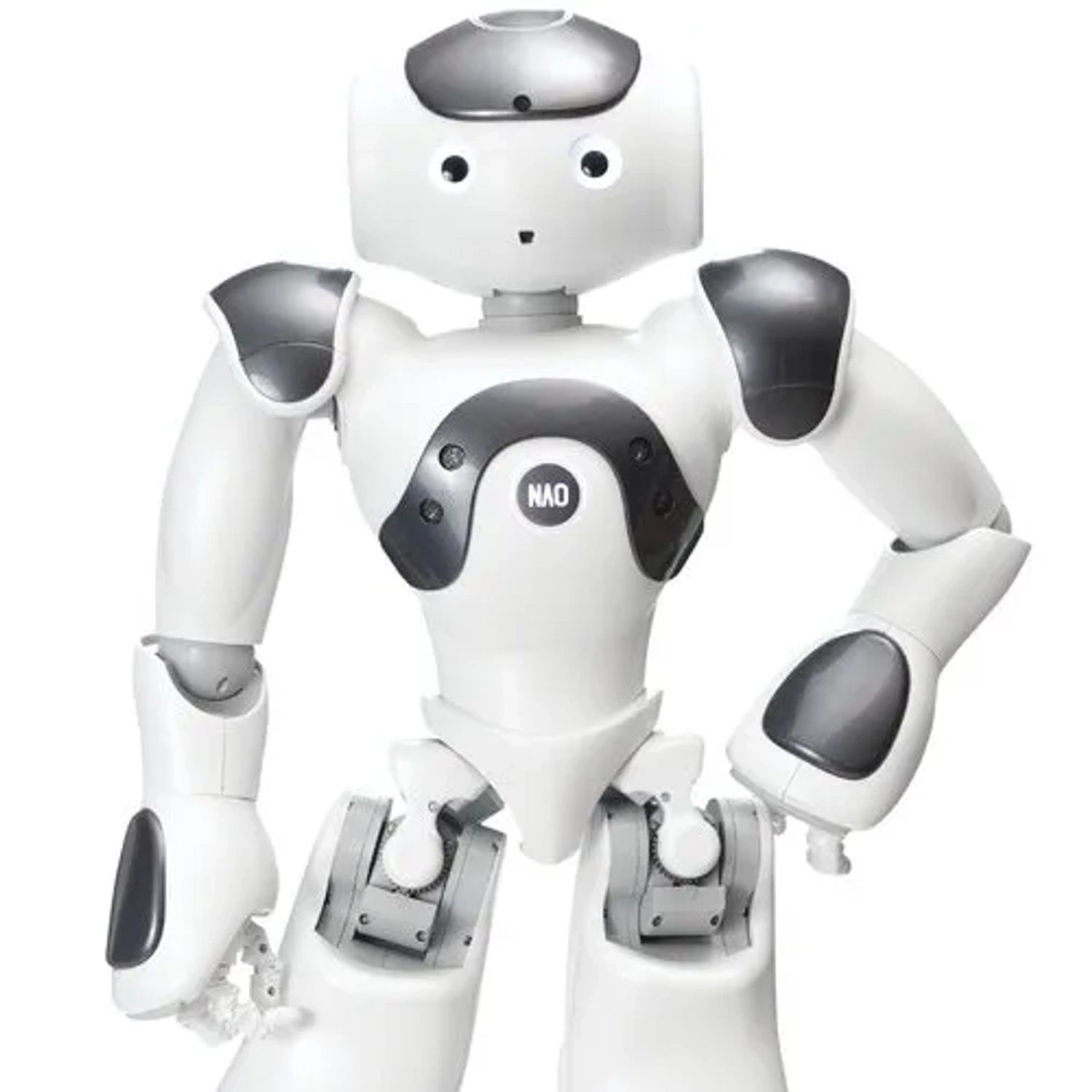 10 Best Humanoid Robots for Education & Research Labs