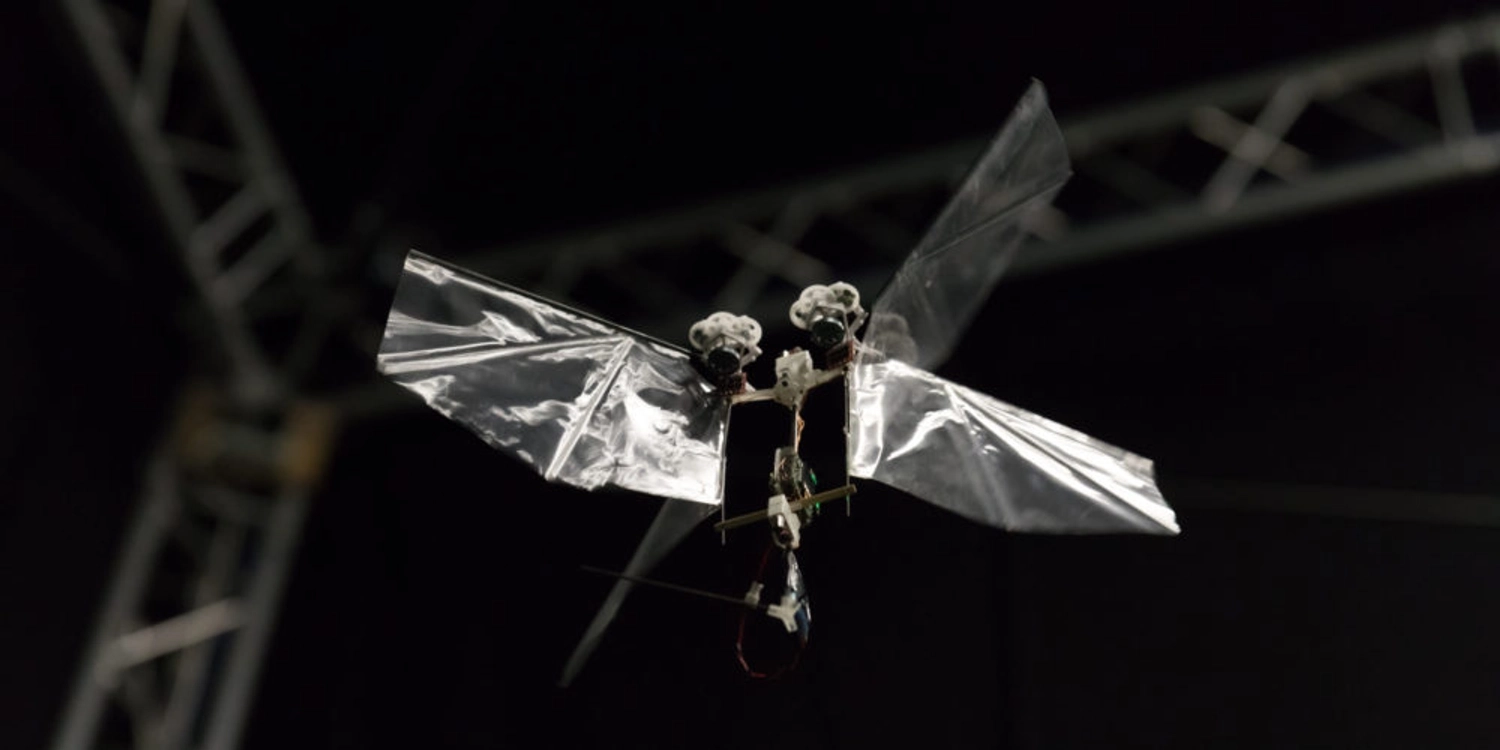DelFly Nimble - Image 2
