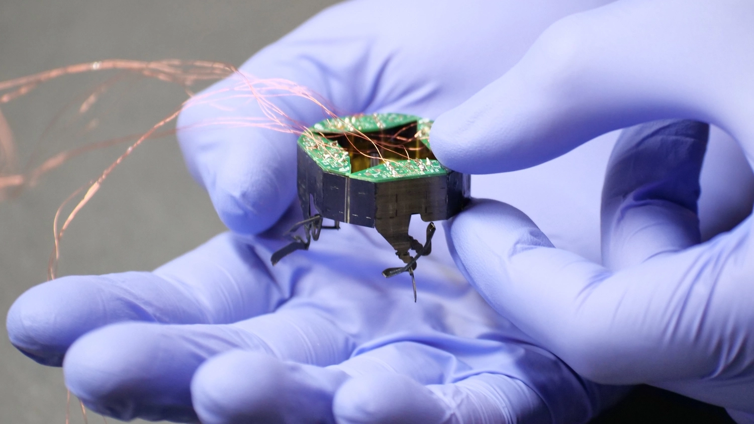 CLARI (Compliant Legged Articulated Robotic Insect) - Image 1