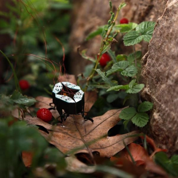 CLARI (Compliant Legged Articulated Robotic Insect) - Image 2