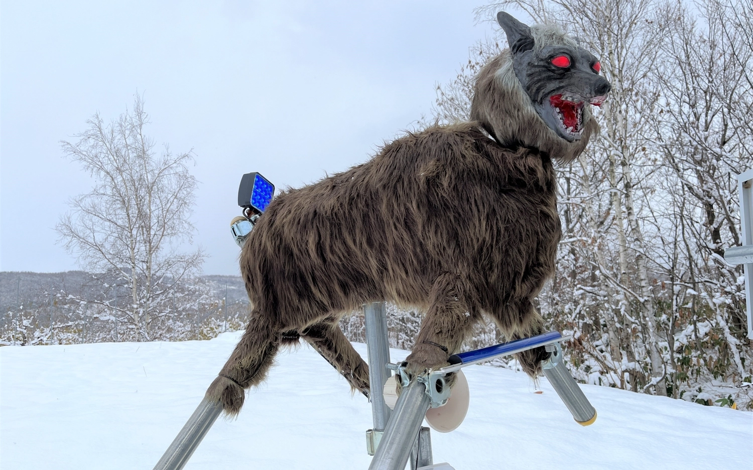 Robot Wolf - Image 1