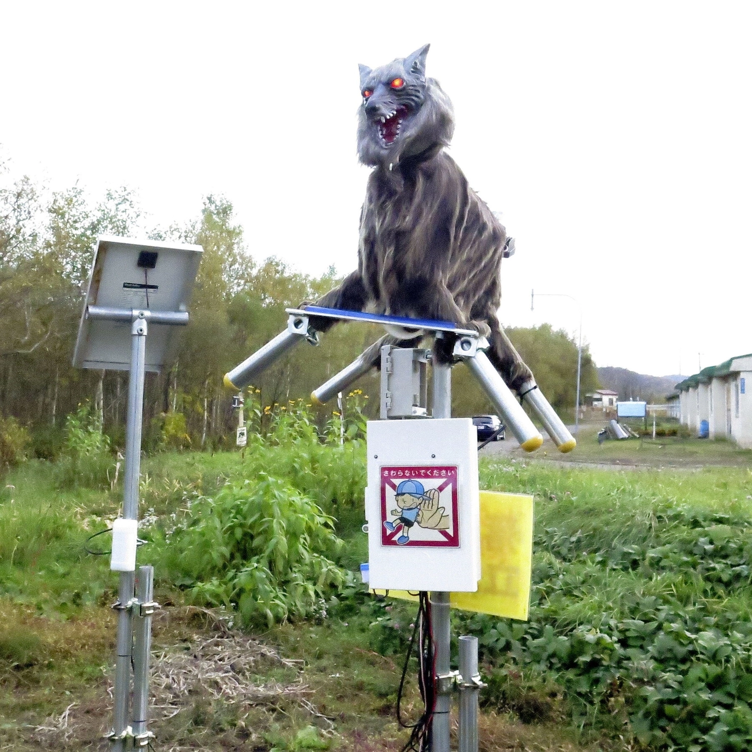 Robot Wolf