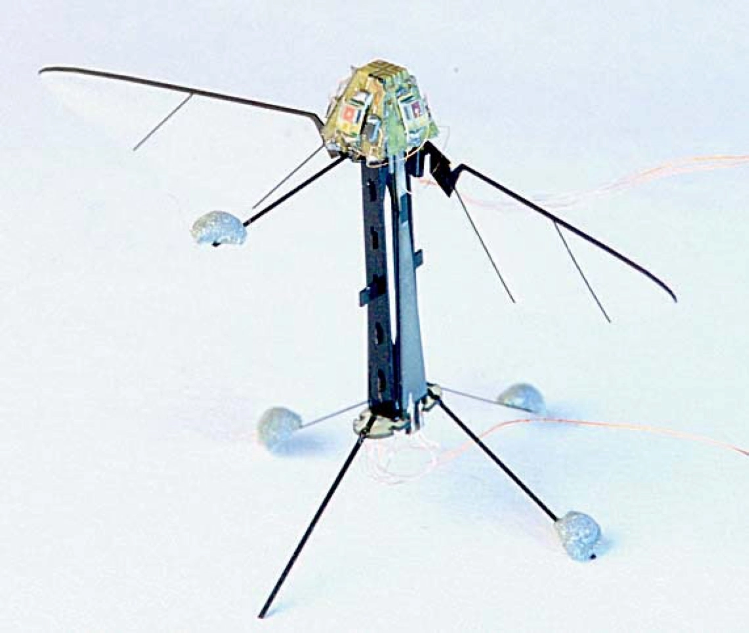 View RoboBee specifications and details RoboBee - Harvard University (Wyss Institute) robot model
