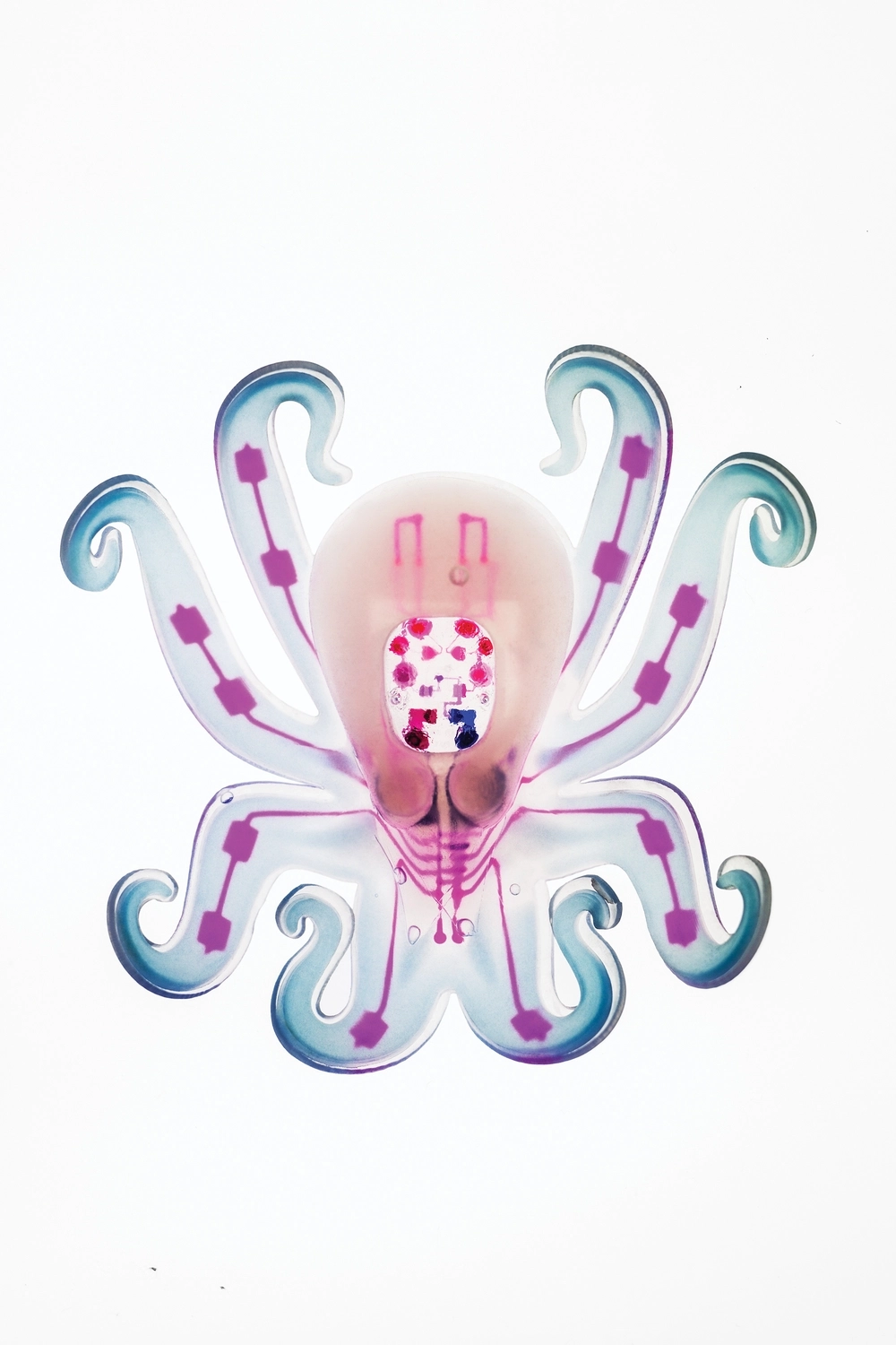 Octobot