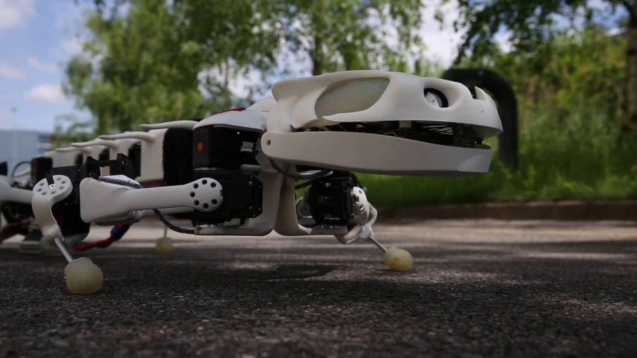 Pleurobot - Image 1