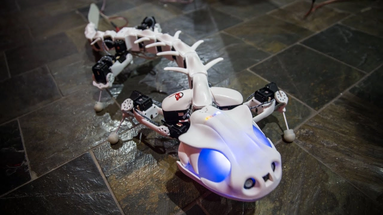 Pleurobot - Image 2