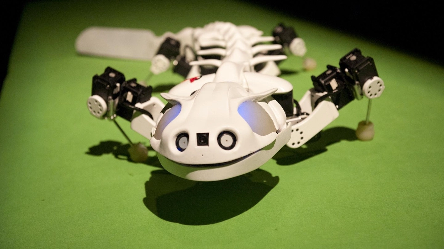 Pleurobot