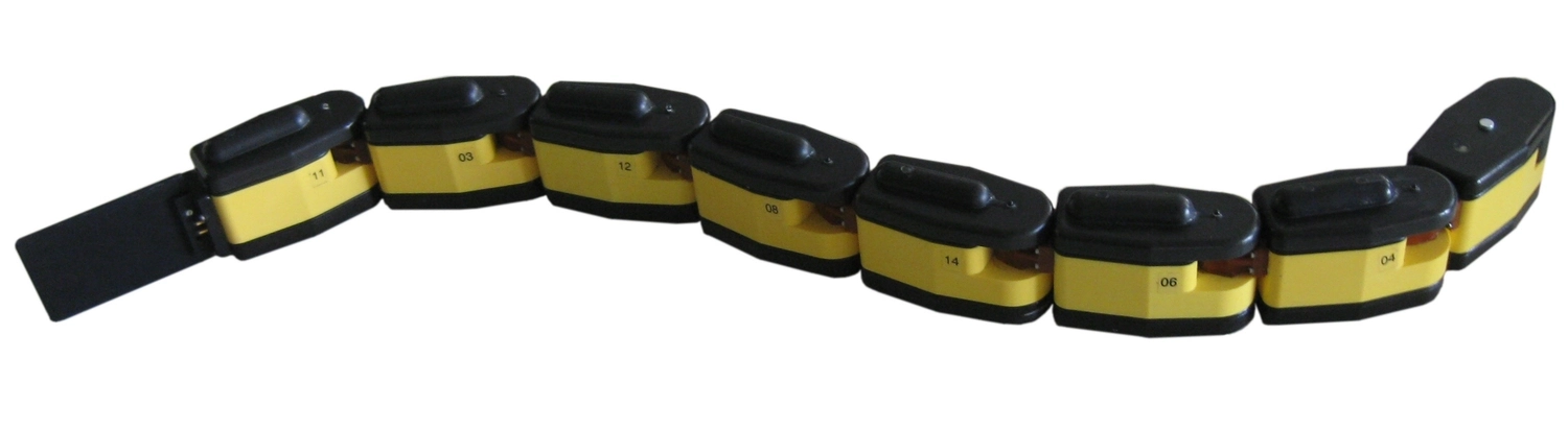 View AmphiBot (Robot Snake) specifications and details AmphiBot (Robot Snake) - EPFL robot model