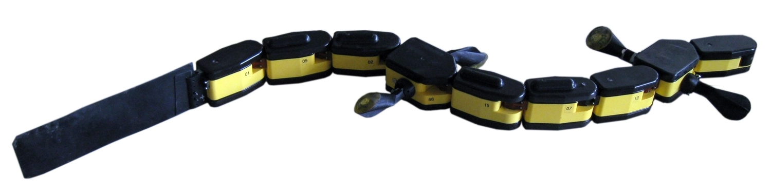 AmphiBot (Robot Snake)