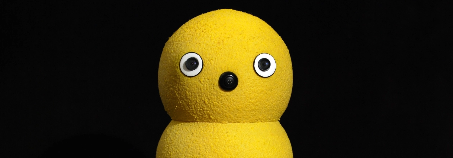 View Keepon specifications and details Keepon - BeatBots robot model