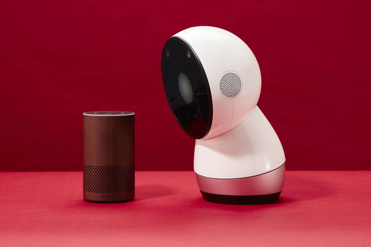 Jibo - Image 2
