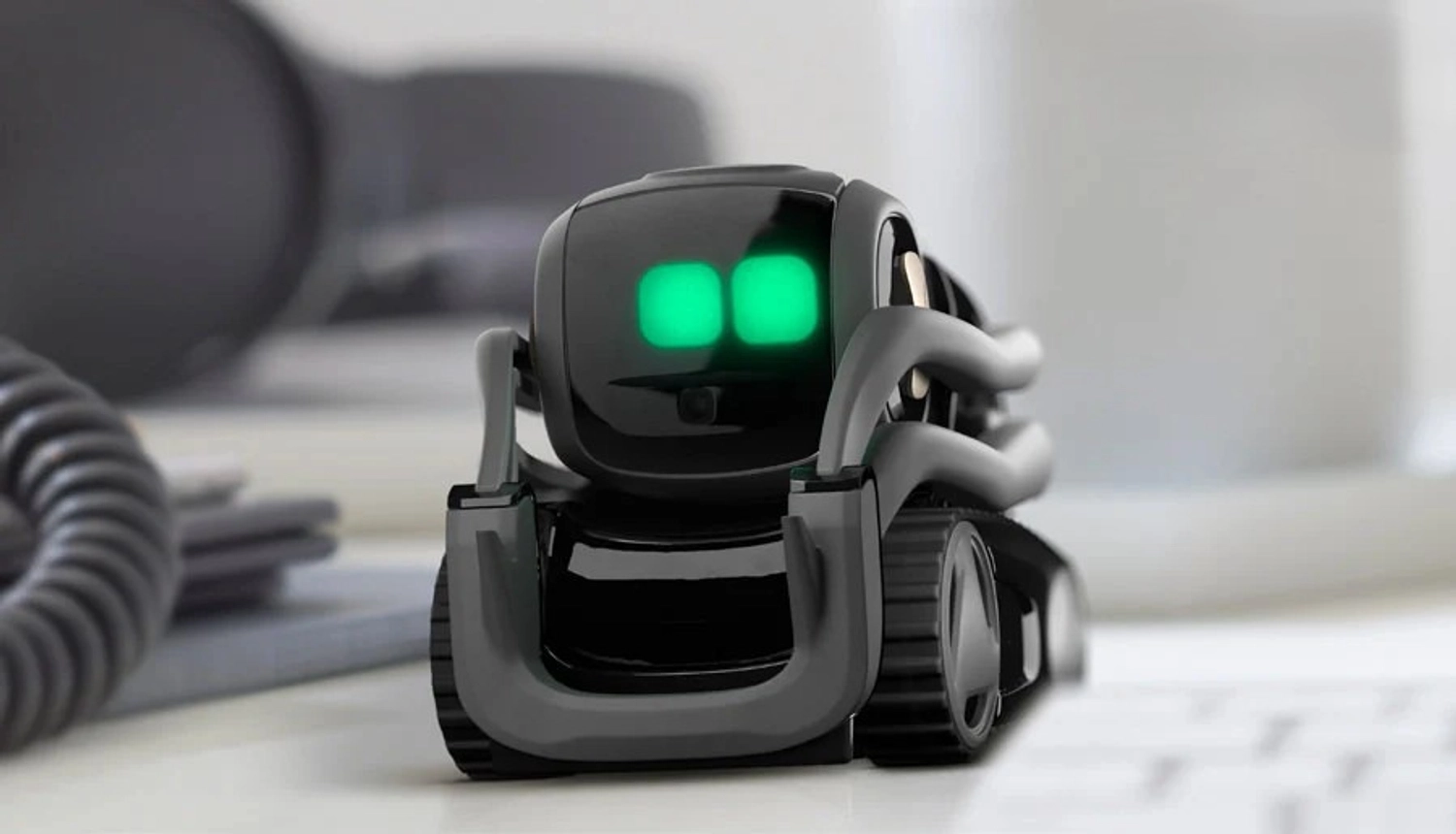 Vector