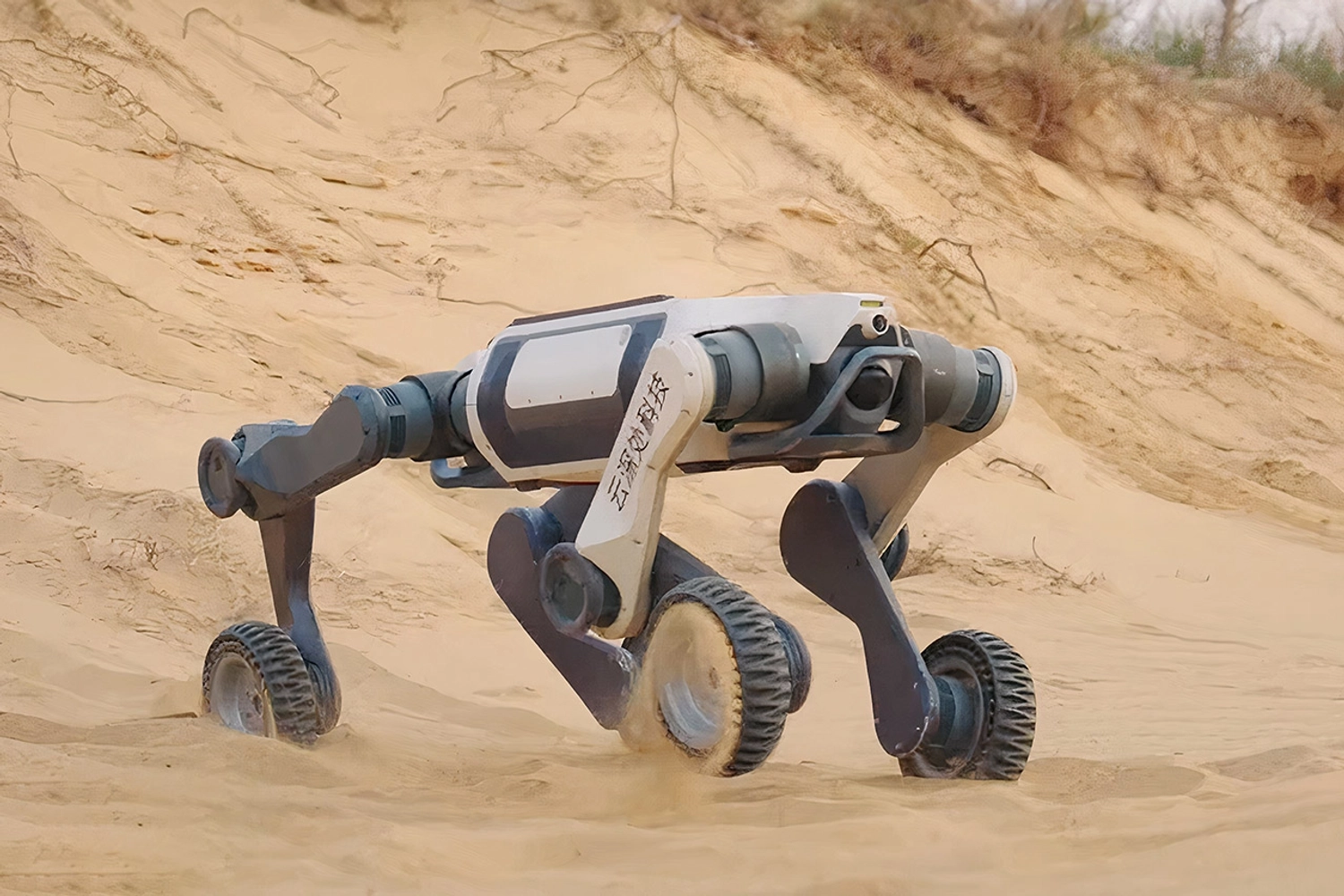 View LYNX M20 specifications and details LYNX M20 - Deep Robotics robot model
