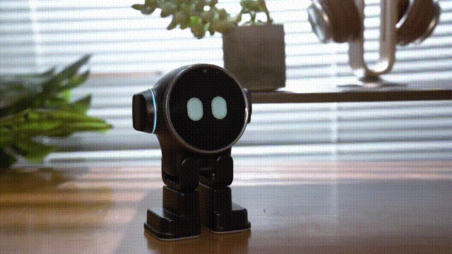 Rux Robot