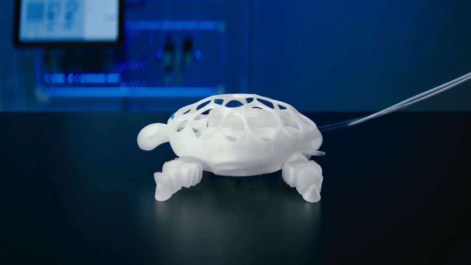 BionicTurtleWalker