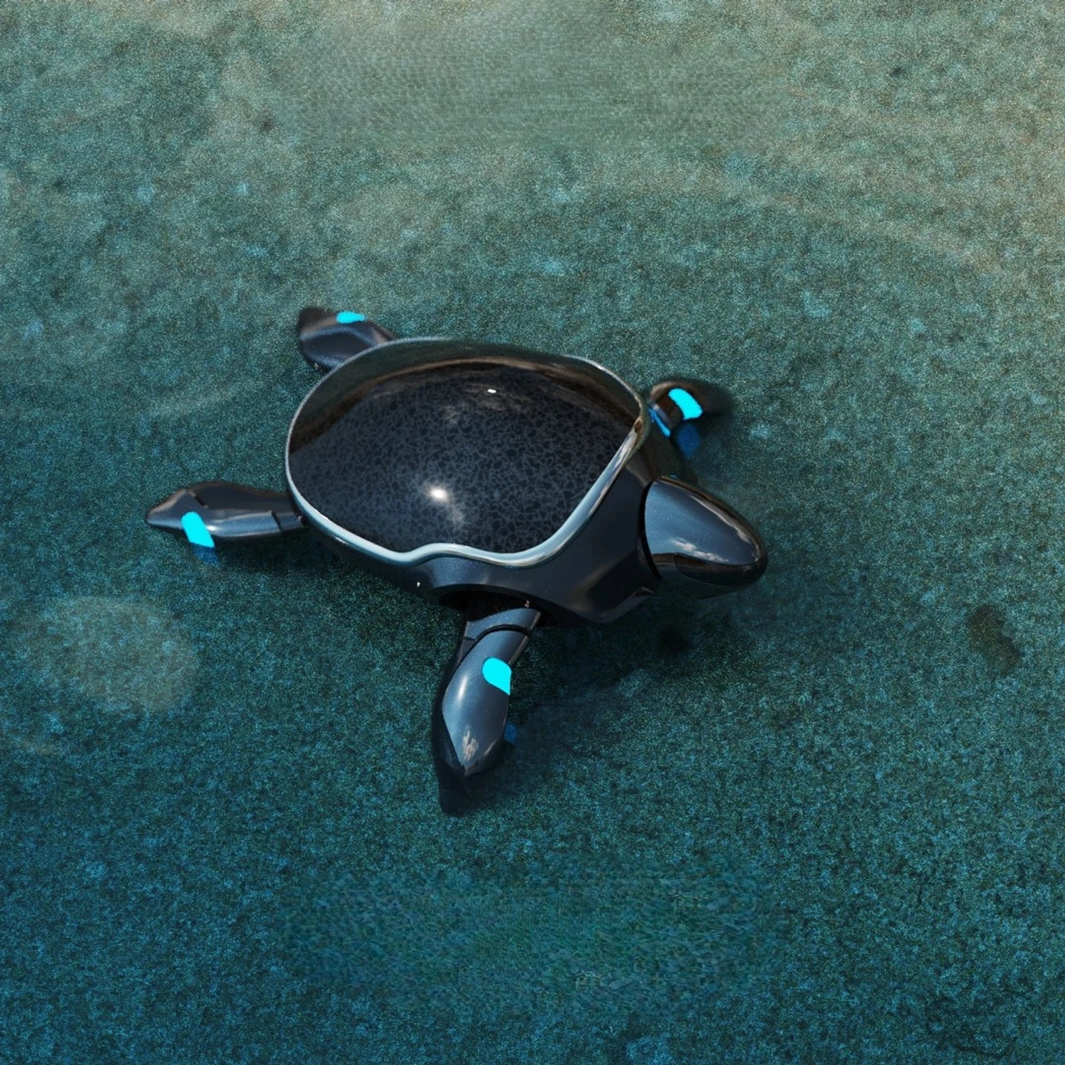 RoboTurtle