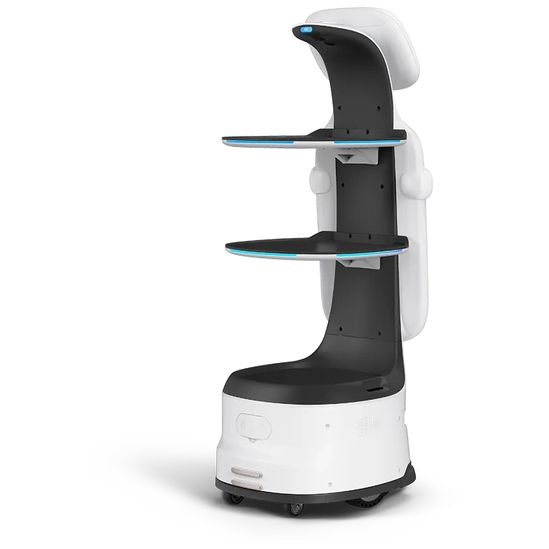 DINERBOT T11