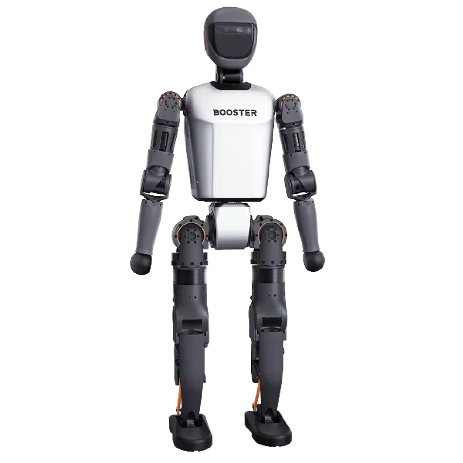 T1 Basic Humanoid