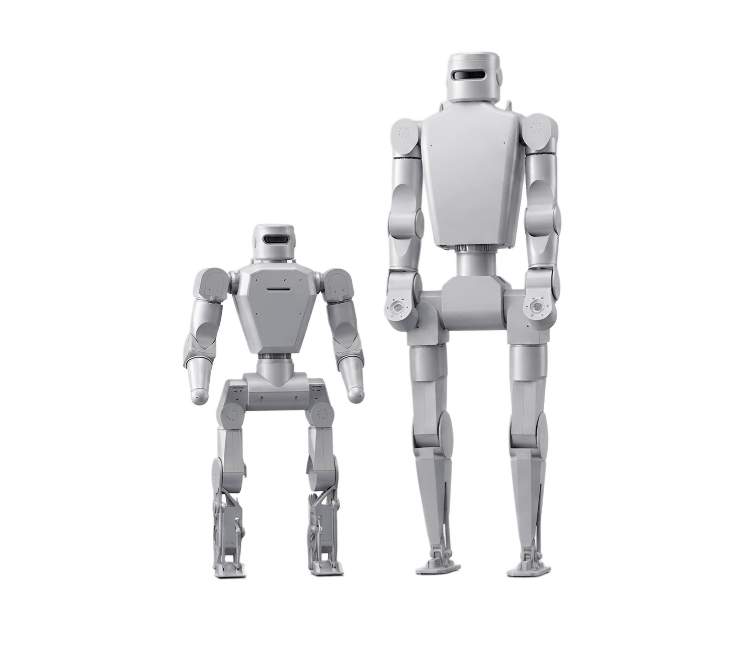 Domo - Image 1