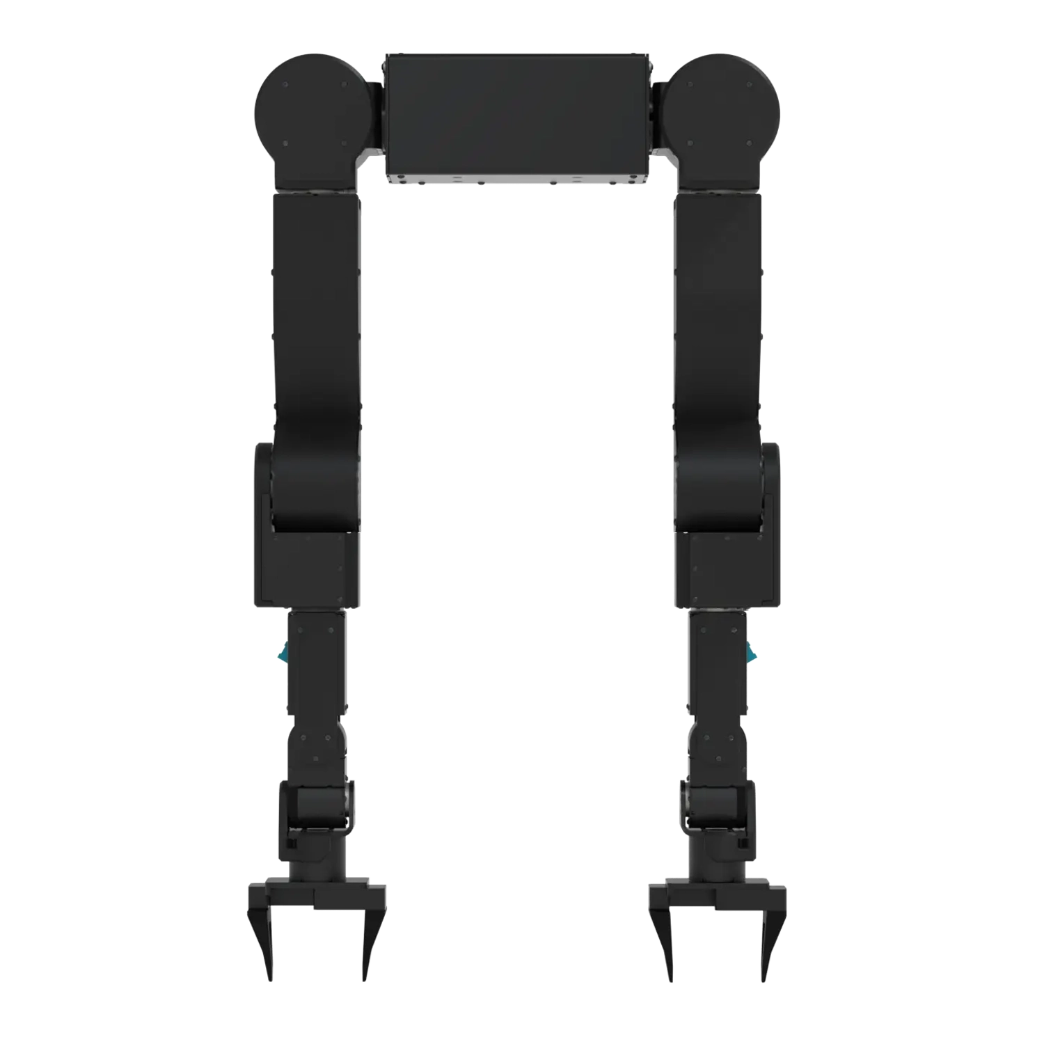 AXOL - Image 2