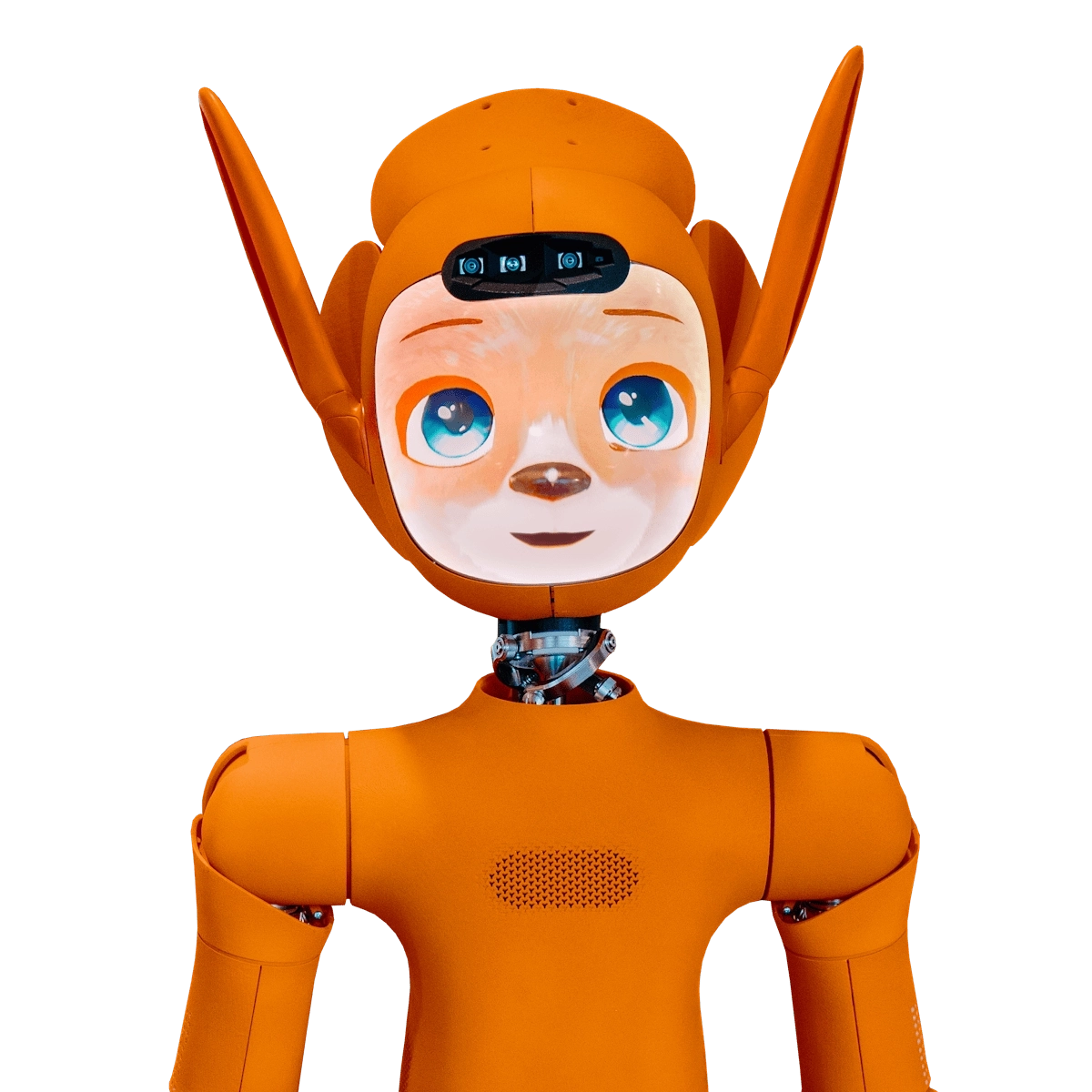 Mirokaï - Image 2